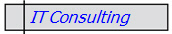  IT Consulting